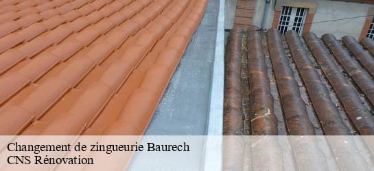 Changement de zingueurie  33880