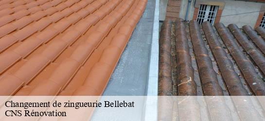 Changement de zingueurie  33760