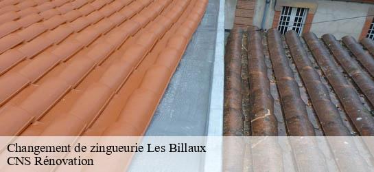 Changement de zingueurie 33500