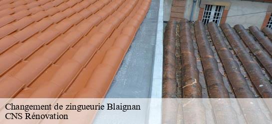 Changement de zingueurie  33340