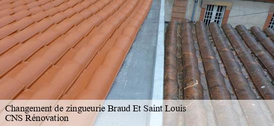 Changement de zingueurie  33820