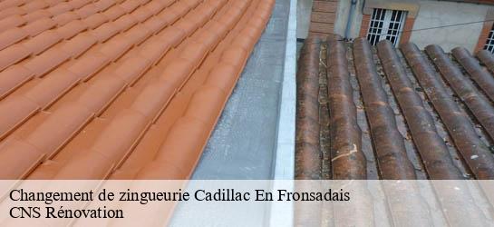Changement de zingueurie 33240