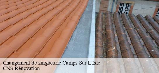 Changement de zingueurie  33660