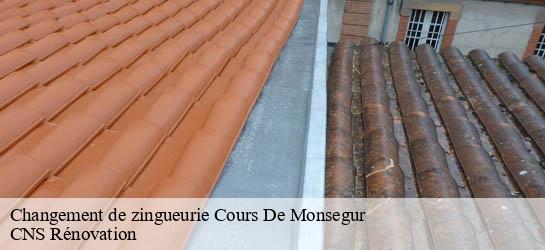 Changement de zingueurie  33580