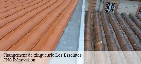 Changement de zingueurie  33190