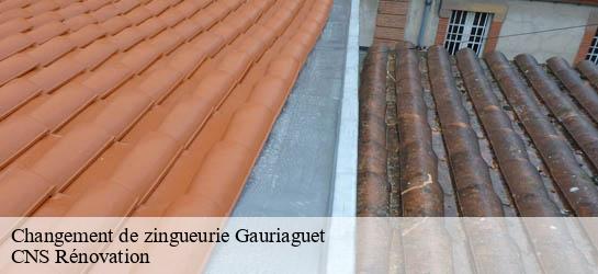 Changement de zingueurie  33240