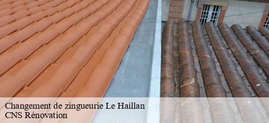 Changement de zingueurie  33185