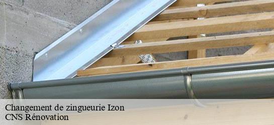 Changement de zingueurie  33450