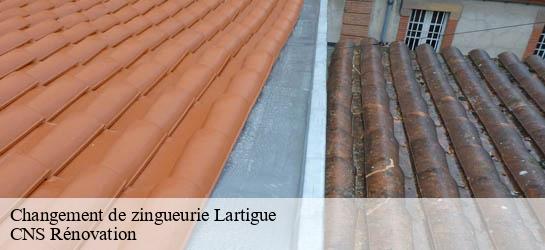 Changement de zingueurie  33840