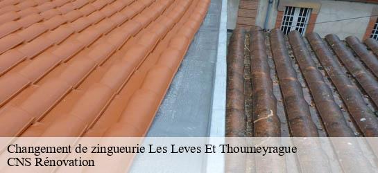 Changement de zingueurie  33220