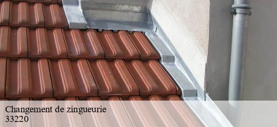 Changement de zingueurie  33220