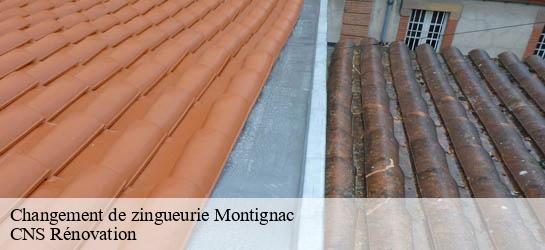 Changement de zingueurie  33760