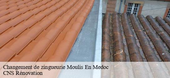 Changement de zingueurie  33480