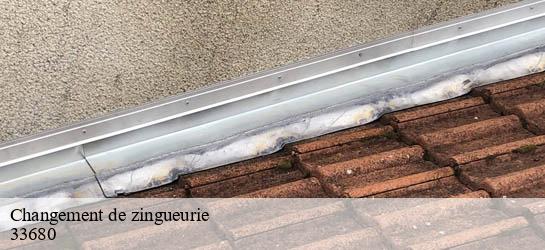 Changement de zingueurie  33680