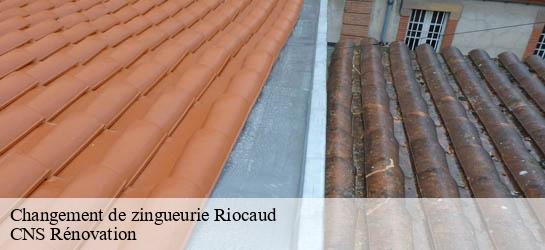 Changement de zingueurie 33220