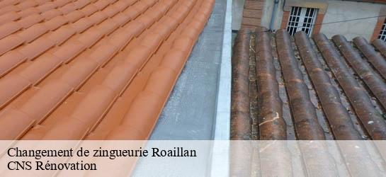 Changement de zingueurie 33210