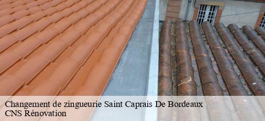 Changement de zingueurie  33880