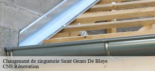Changement de zingueurie  33390