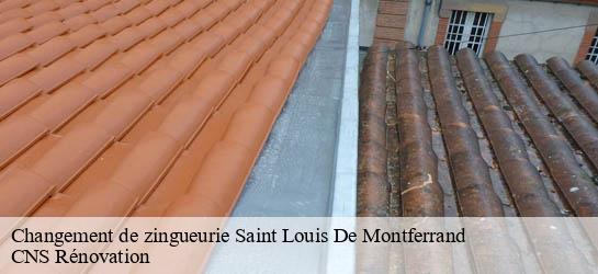 Changement de zingueurie  33440