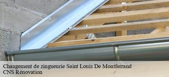 Changement de zingueurie  33440