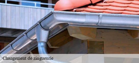 Changement de zingueurie  33490