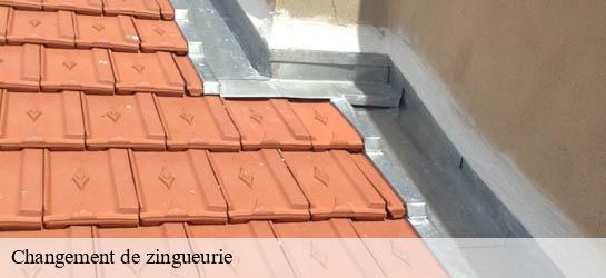 Changement de zingueurie  33490