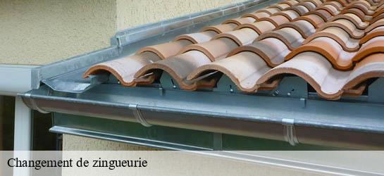 Changement de zingueurie  33230