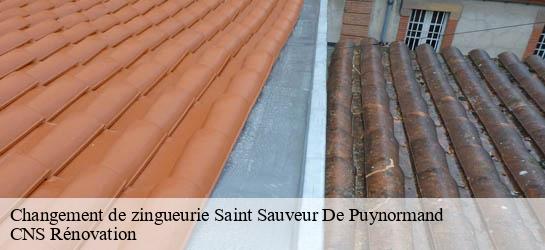 Changement de zingueurie 33660