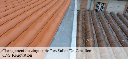 Changement de zingueurie  33350