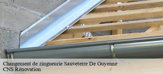 Changement de zingueurie  33540