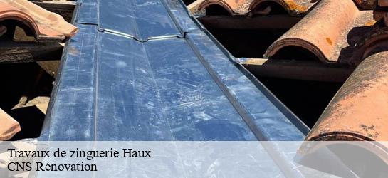Travaux de zinguerie  33550