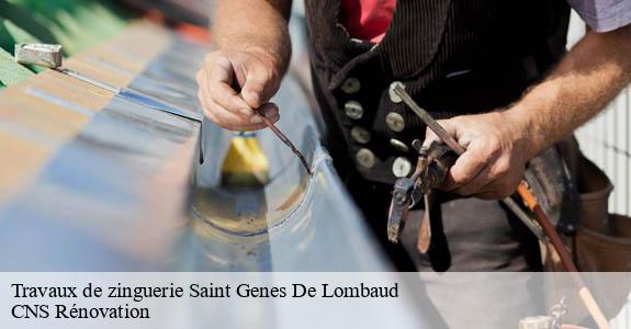 Travaux de zinguerie  saint-genes-de-lombaud-33670 CNS Rénovation