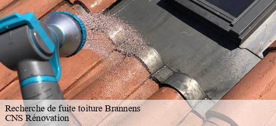 Recherche de fuite toiture  33124