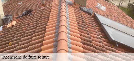 Recherche de fuite toiture  33190
