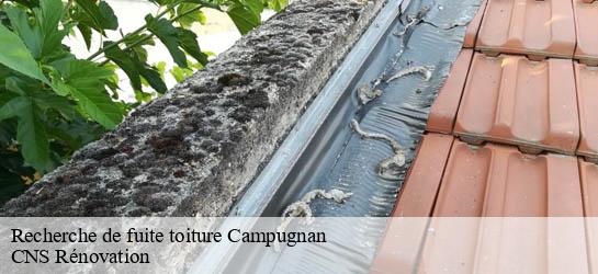 Recherche de fuite toiture  33390