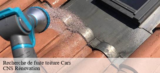 Recherche de fuite toiture  33390