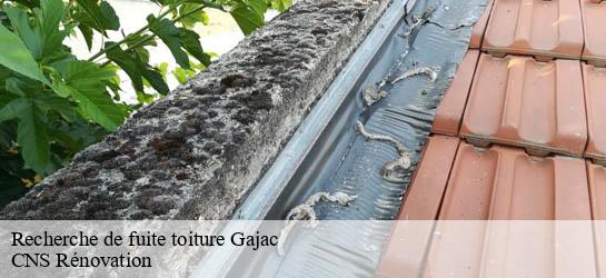 Recherche de fuite toiture  33430