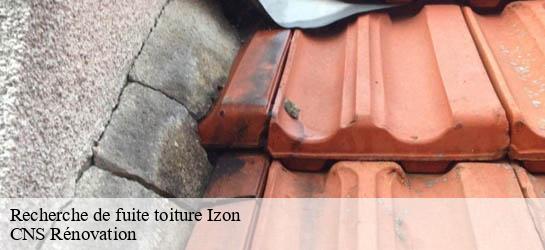 Recherche de fuite toiture  33450