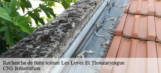 Recherche de fuite toiture  33220