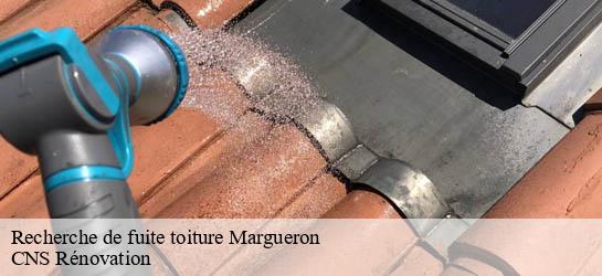 Recherche de fuite toiture  33220