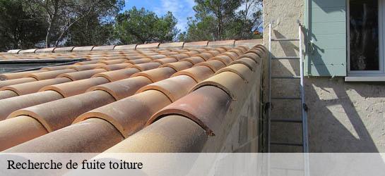 Recherche de fuite toiture  33190