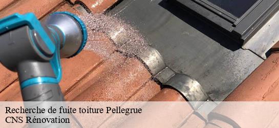Recherche de fuite toiture  33790