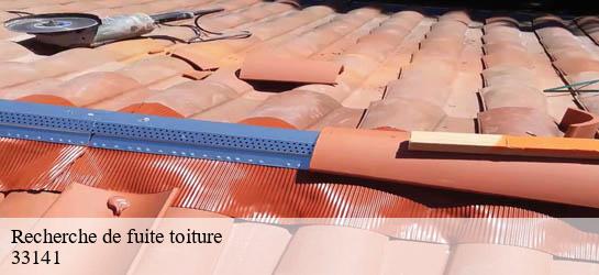 Recherche de fuite toiture  33141