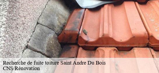 Recherche de fuite toiture  33490