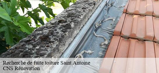 Recherche de fuite toiture  33240