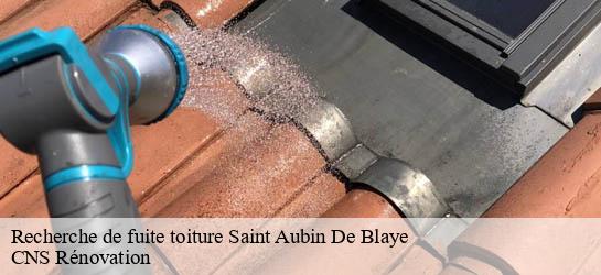 Recherche de fuite toiture  33820