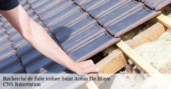 Recherche de fuite toiture  saint-aubin-de-blaye-33820 CNS Rénovation