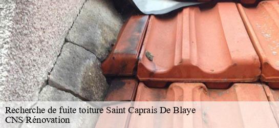 Recherche de fuite toiture  33820