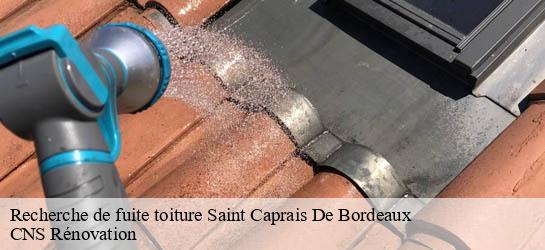 Recherche de fuite toiture  33880