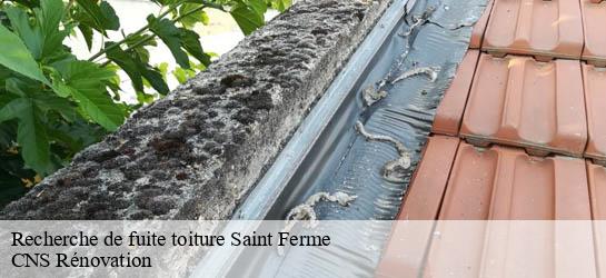 Recherche de fuite toiture  33580